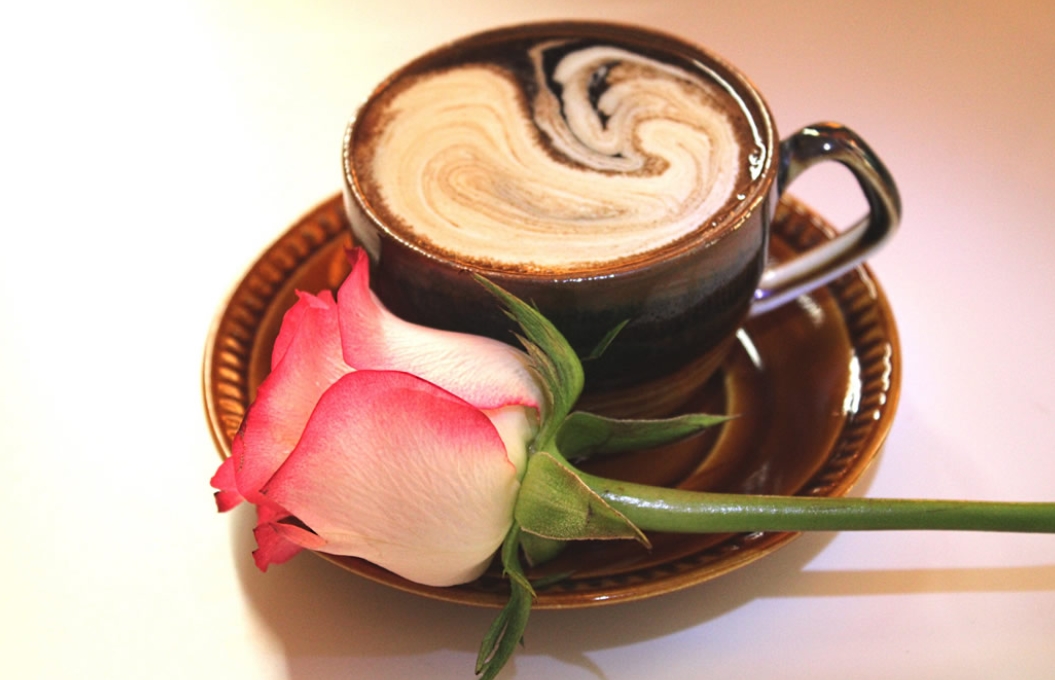 你符合2024年常州大学成人高考的报名条件吗？